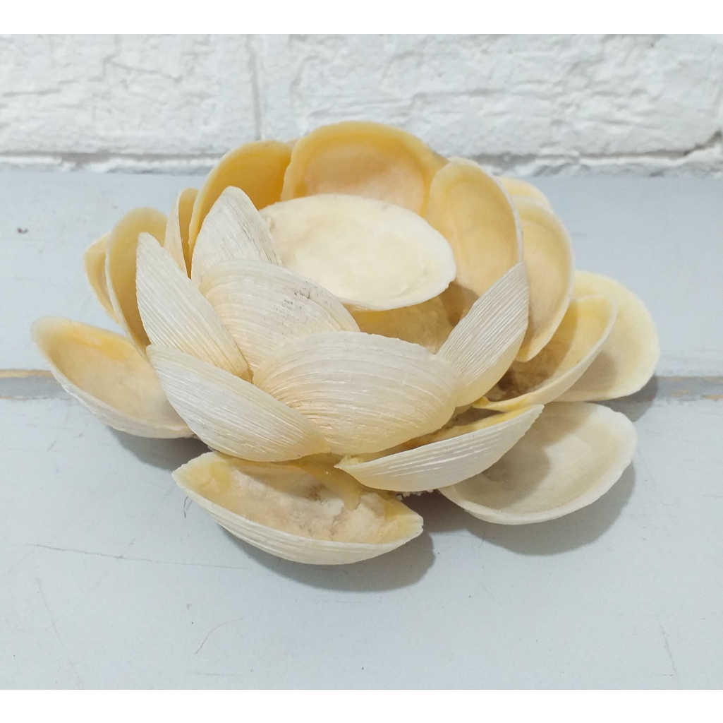 Flor de concha (fundo do mar, sereia)